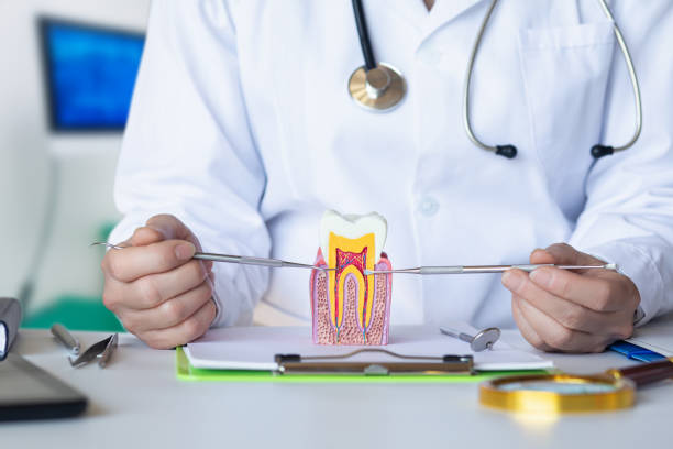 Best Chipped Tooth Repair Near Me  in Ellis, KS
